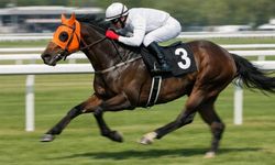 Yarış Atı Kavurması Skandalında Şok Detay!