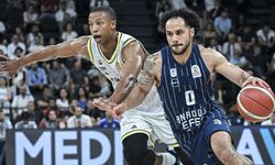 Anadolu Efes seriye yeniden ortak oldu