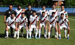 Milliler final sevincini marşlarla kutladı