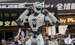 Dünyanın ilk robot MMA organizasyonu Çin'de yapıldı