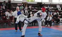 Taekwondo şampiyonalarında ikinci gün tamamlandı