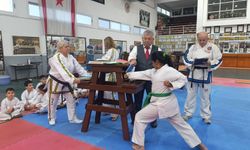 Taekwondo ve karate sporcuları Cumhuriyet için yarıştı!