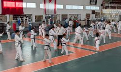 Taekwondocular İzzet Mustafa Kaysu anısına yarıştı