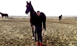 KTAY Başkanı Sabri Ertürk istifa etti