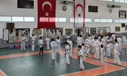 Taekwondo 2026’da da hız kesmeyecek