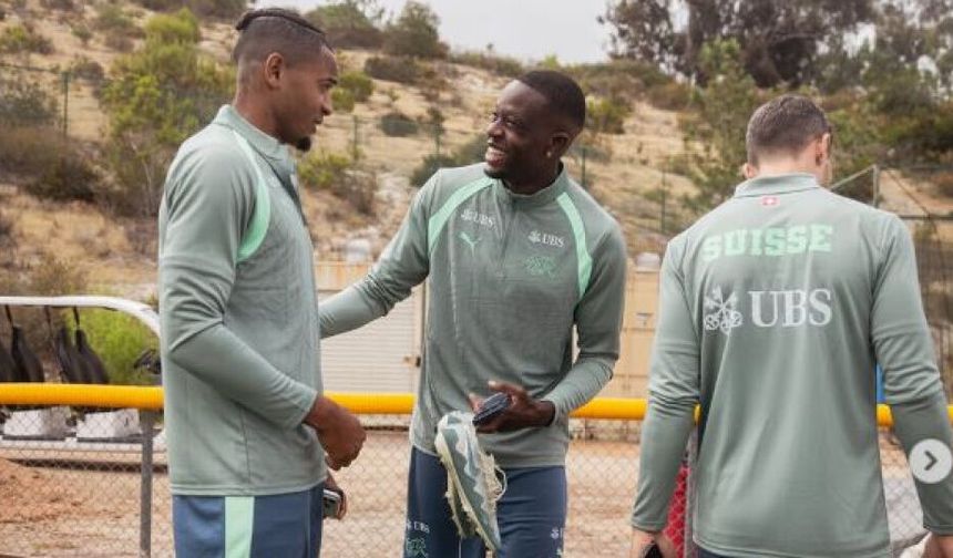 Dünya Kupası kampında yılan alarmı!