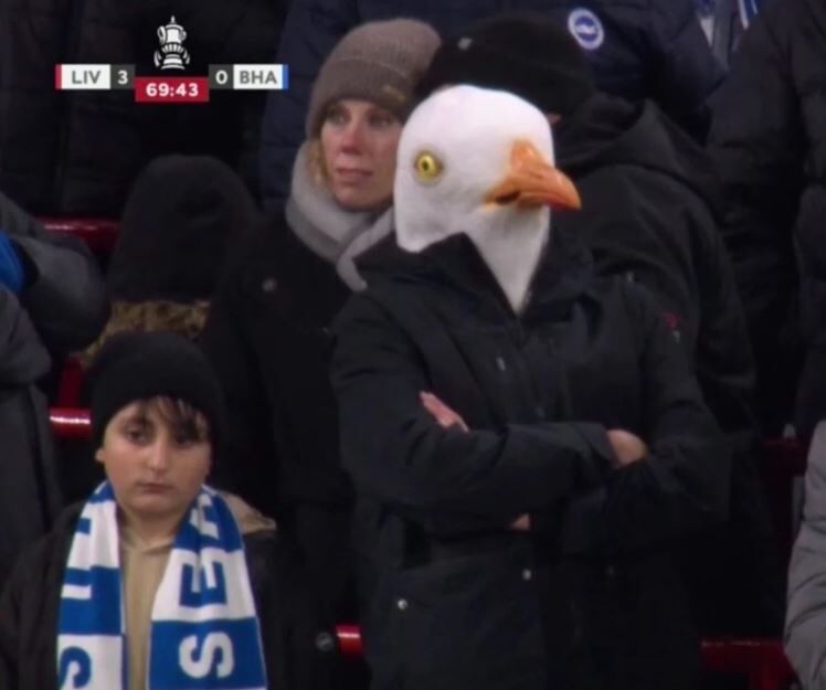 Liverpool Tribünde Martı Maskesi Gündem Oldu!