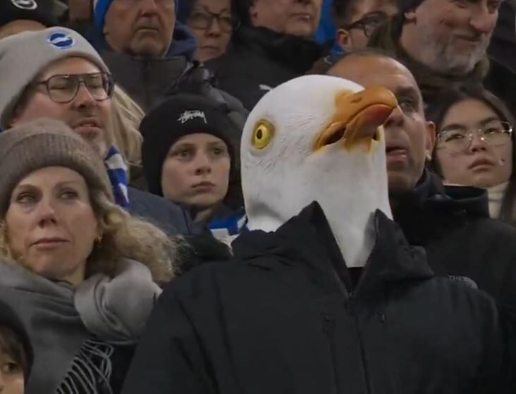 Martı Maskesi Gündem Oldu!